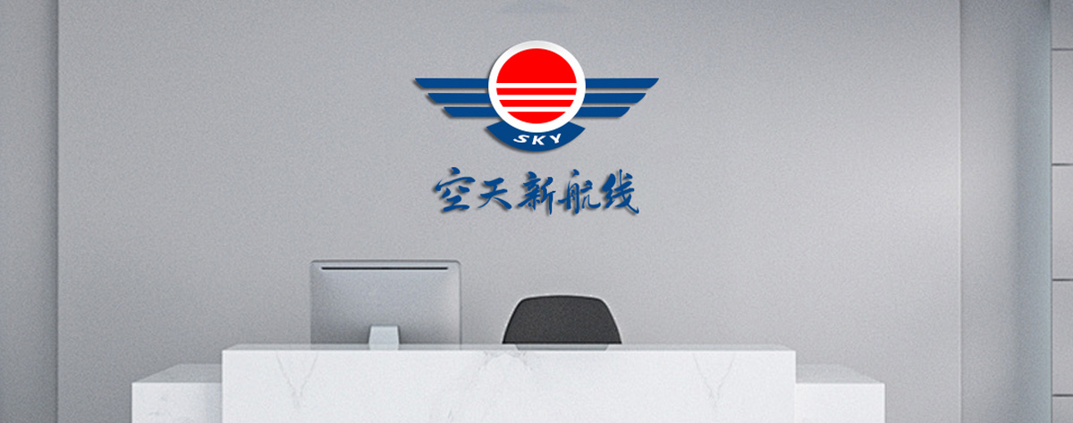 能飞航空公司简介